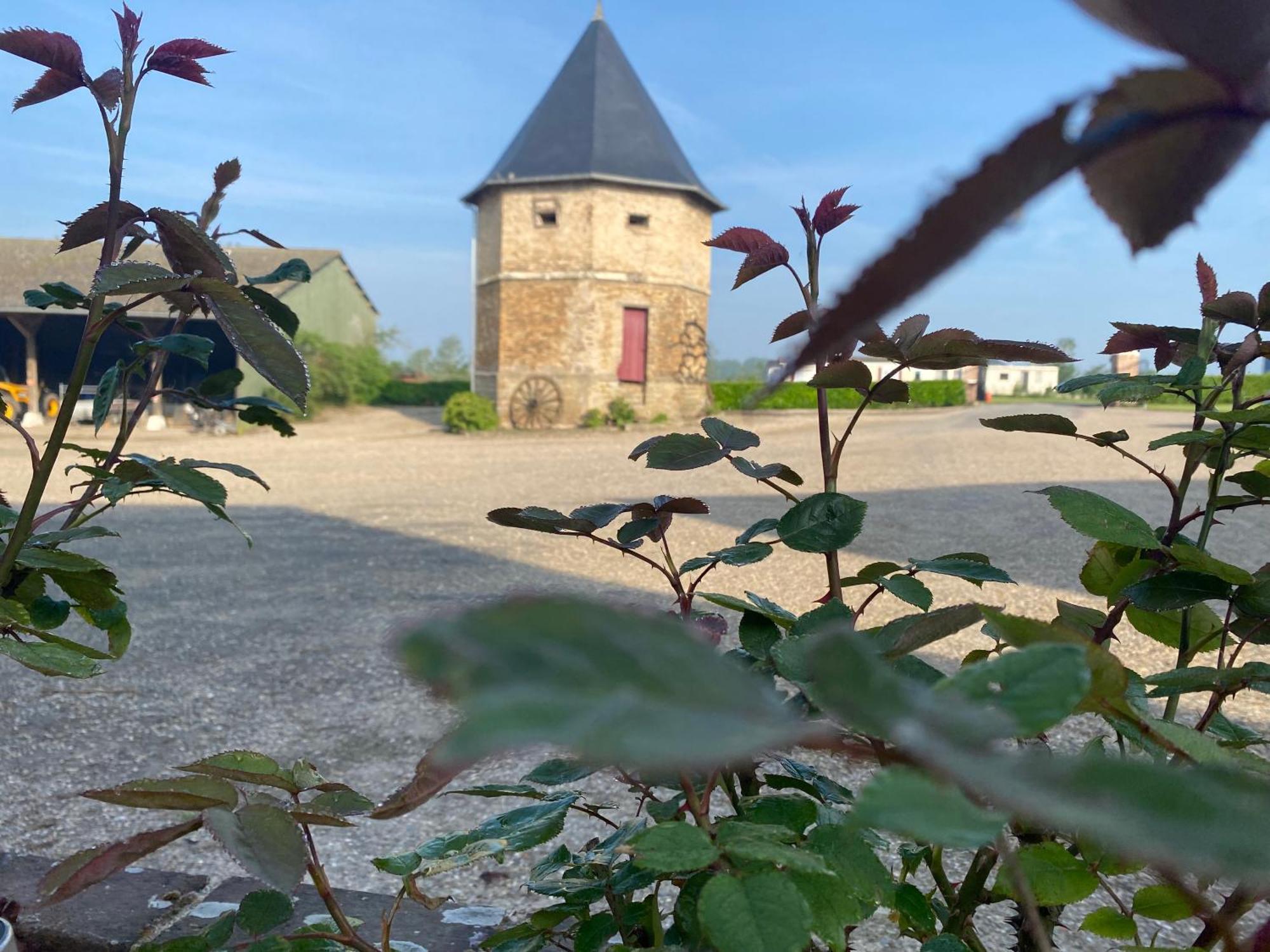 Chambres Dhotes A La Ferme Forest-Montiers Buitenkant foto