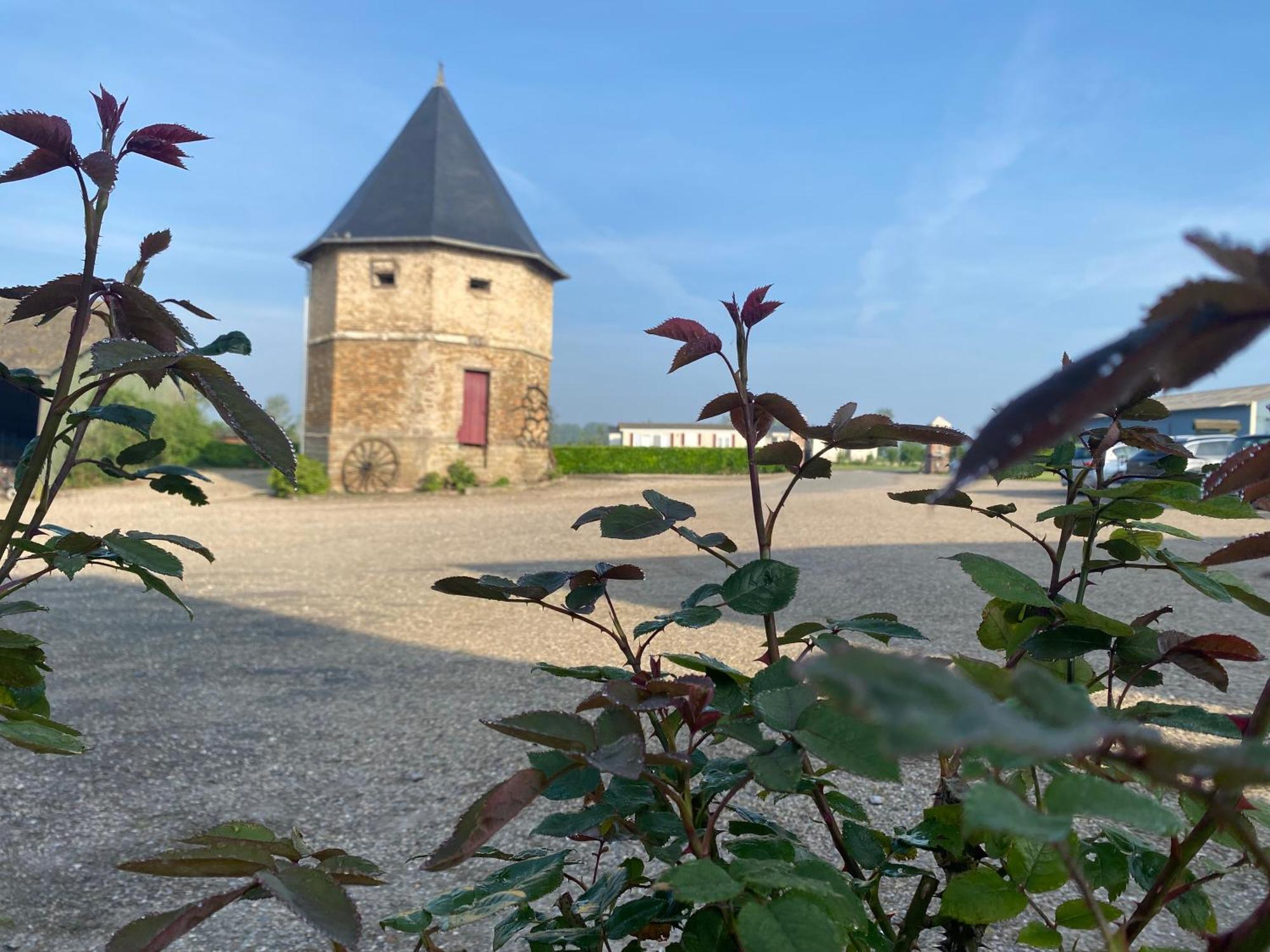 Chambres Dhotes A La Ferme Forest-Montiers Buitenkant foto